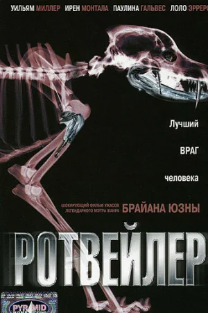 Ротвейлер 